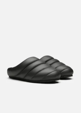 Snail Mule Snail Mule